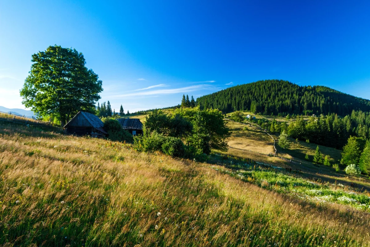 Najlepsze domki nad Bałtykiem 2026: przewodnik po lokalizacjach, cenach, udogodnieniach oraz trikach jak znaleźć idealny domek dla rodziny i psa