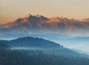 7 sposobów, jak oszczędzać bez wyrzeczeń: automatyczny budżet, „zimny start” zakupów i 30-dniowy test subskrypcji